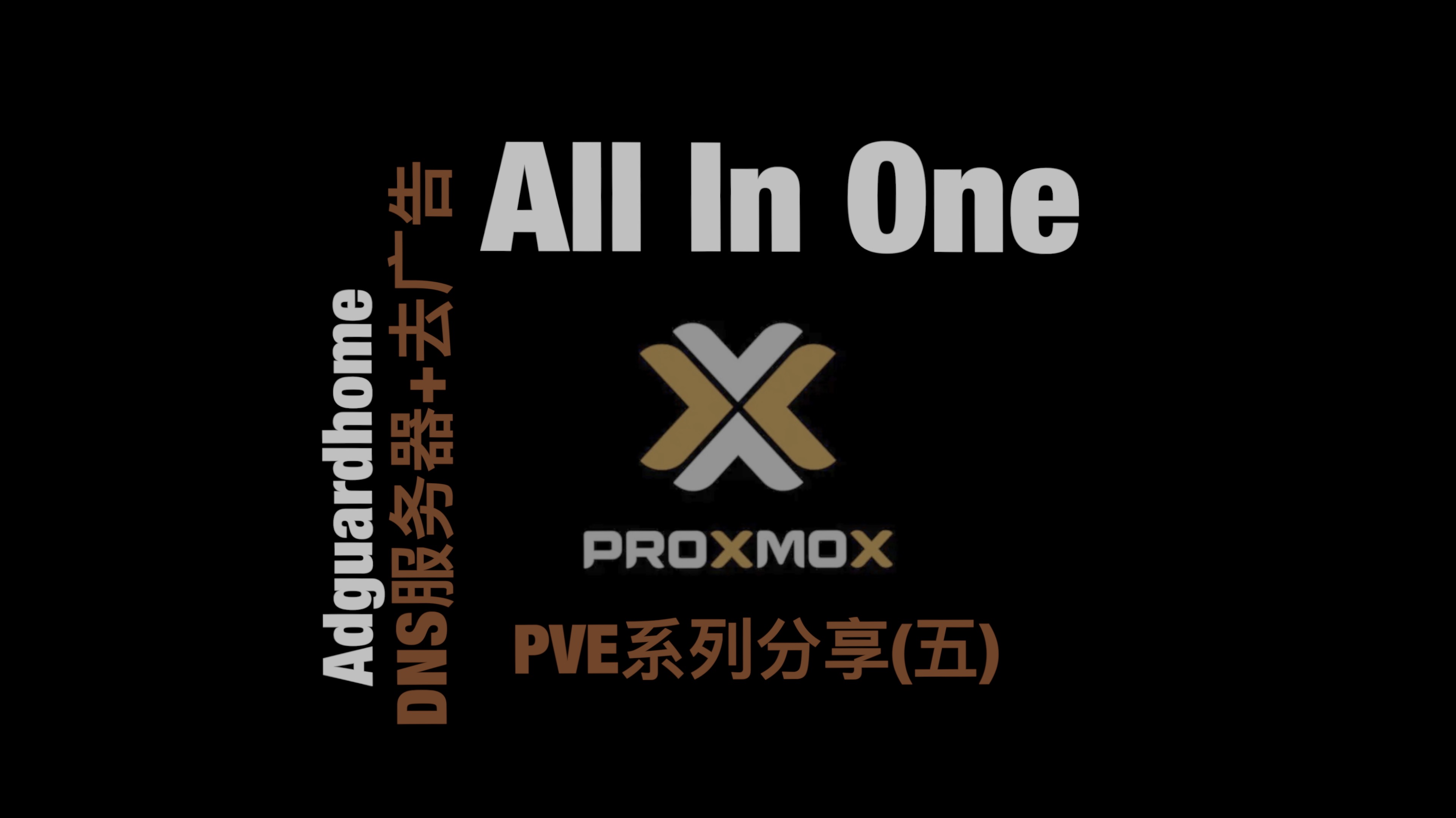 (五)PVE All in One之Adguardhome去广告以及DNS服务器搭建